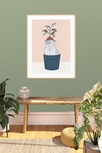 Load image into Gallery viewer, Cat Plant
