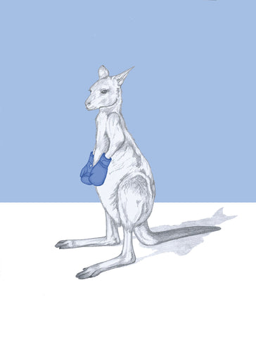 boxing kangaroo