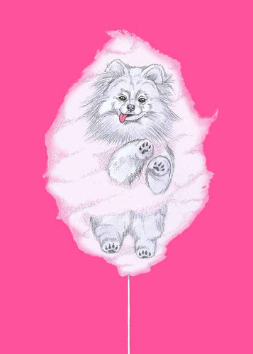 pomeranian