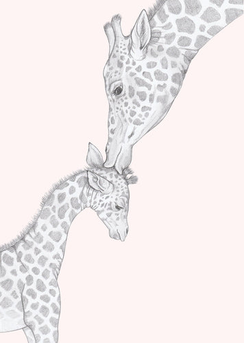 giraffe parent and baby